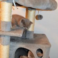 Portée septembre 2019