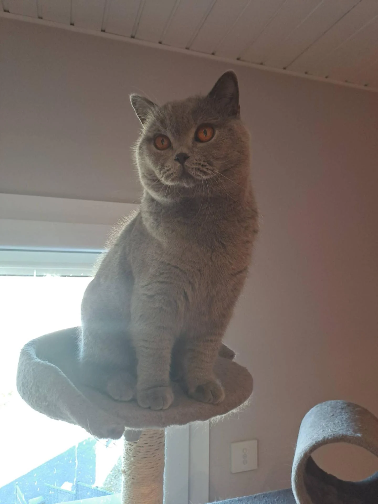 4235b00d 1d77 451e b4b3 8120f0624657